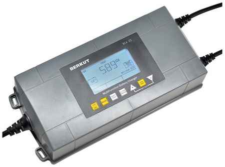 Зарядное устройство BERKUT BCA-25 серый 19014895420
