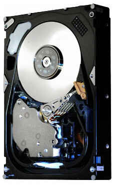 Жесткий диск HGST 450 ГБ HUS156045VLF400 191480008