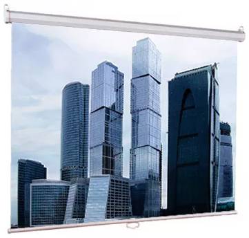 Рулонный матовый экран Lumien Eco Picture LEP-100108, 1:1, 97″