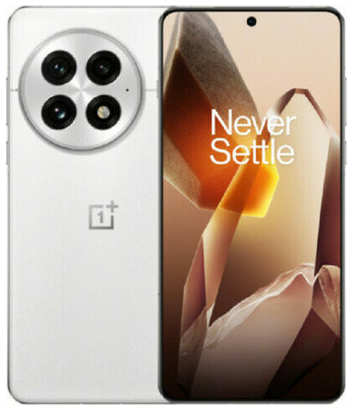 OnePlus 13 12/256 ГБ (PJZ110) CN