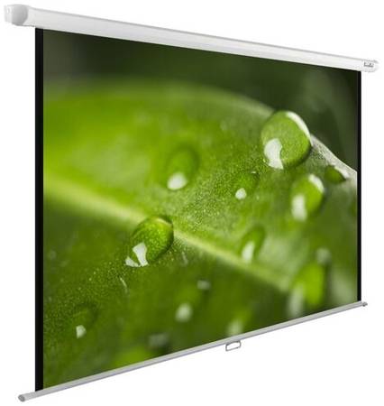Рулонный матовый белый экран cactus WallExpert CS-PSWE-200x150-WT, 99″, белый 19323957414