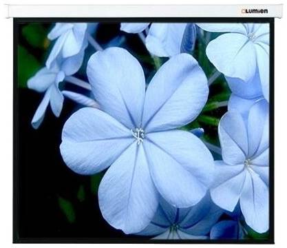 Рулонный матовый белый экран Lumien Master Picture LMP-100104, 110″, белый 19372497578
