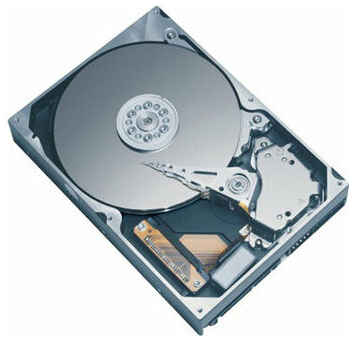 Жесткий диск Maxtor 250 ГБ 6A250Y0 19532251