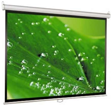Экран ViewScreen Scroll (1:1) 160*160 MW WSC-1104 19570426759