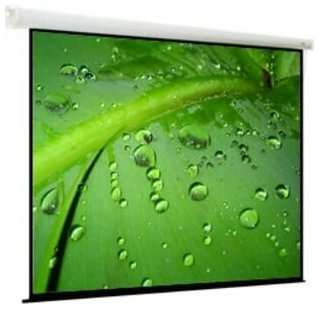 Экран ViewScreen Breston (16:10) 274*274 (266*171) MW EBR-16105 19571514385