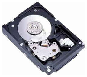 Жесткий диск Fujitsu 300 ГБ MAW3300FC 198106503