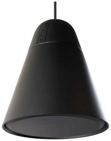 Biamp P60DT-BL подвесной громкоговоритель, цвет черный 198215982028