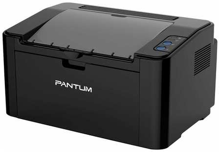 Принтер Pantum P2500NW 198258941998
