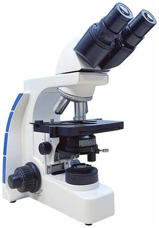 Микроскоп лабораторный Levenhuk MED P1000KLED-2 198333714052
