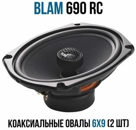 BLAM 690 RC - 2 полосная коаксиальная акустическая система 198374799730