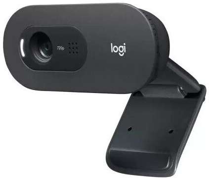 Web-камера Logitech C505e HD 198386537690
