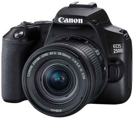 Зеркальный фотоаппарат Canon EOS 250D Kit 18-55mm IS STM