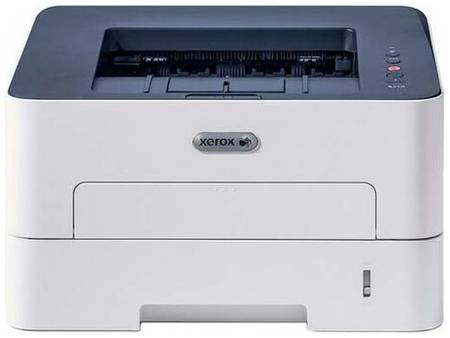 Принтер лазерный Xerox B210, ч/б, A4, белый/синий 19844563087380