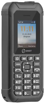 Смартфон SENSEIT L250, 2 SIM, черный 19844934357388