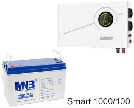 ИБП Powerman Smart 1000 INV + MNB MNG100-12 19846412501595