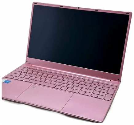Ноутбук FRBBY V16 Pro, Intel Celeron N5095 (2.0 ГГц), RAM 16 ГБ, 512 SSD, Intel UHD Graphics, розовый 19846518100452