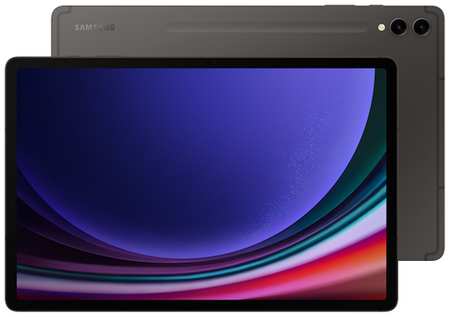 Планшет Samsung Galaxy Tab S9+ (2023) SM-X810 256GB Wi-Fi графит (ЕАС) 19846621957187