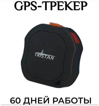 ServiceMarket Универсальный мини GPS-Трекер / 12 дней в режиме ожидания