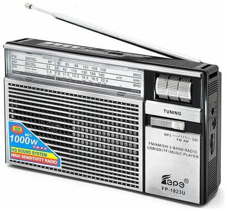 Радиоприёмник аккумуляторный (USB, SD) Fepe FP-1823U 19846711530576