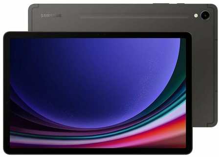 Планшет Samsung Galaxy Tab S9 SM-X710 8/128GB Graphite (EAC) 19846740029693