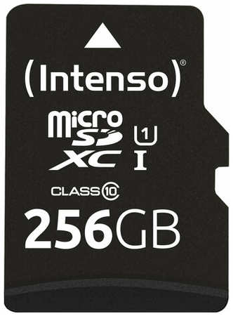 Карта памяти (Intenso) microSDXC UHS-I Premium 90 MB/s 256 GB + SD adapter (Germany)
