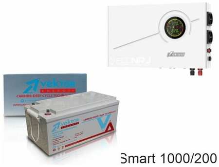 ИБП Powerman Smart 1000 INV + Vektor VPbC 12-200 19846754365722