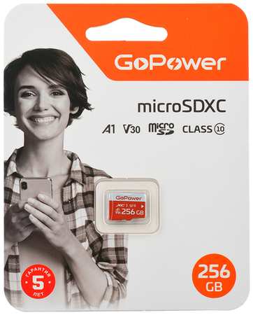 Карта памяти 256Gb MicroSD GoPower (00-00025684) 19846783532048