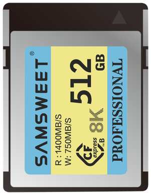 Карта памяти Samsweet Professional CFexpress Type B Horse 512GB 19846783917930