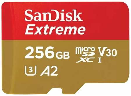 Карта памяти Micro SecureDigital 256Gb SanDisk Extreme microSDHC class 10 UHS-1 A2 V30 (SDSQXAV-256G-GN6GN) Gaming