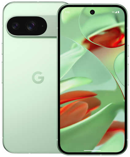 Смартфон Google Pixel 9 12/256 ГБ JP, Dual: nano SIM + eSIM, Wintergreen