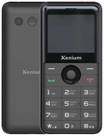 Телефон Xenium X700 RU, 2 nano SIM, черный 19847898452320