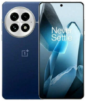 OnePlus 13 24/1 ТБ Blue (PJZ110) CN 19847948570149