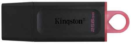 Флеш-память Kingston DataTraveler Exodia, USB 3.2 G1, роз/чер, DTX/256GB 1272365 19848067227528
