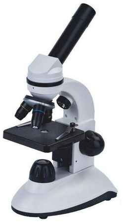 Микроскоп Discovery Nano Polar с книгой 19848067739262
