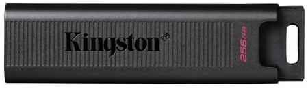 Флеш-диск Type C Kingston DataTraveler Max 256GB USB 3.2 Type-C 19848105805197