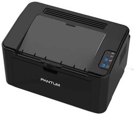 Принтер лазерный Pantum P2507 19848170836740