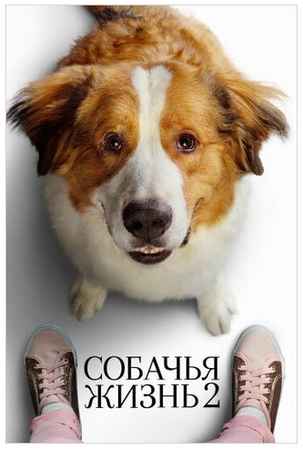 ND Play Собачья жизнь 2 (DVD) 19848210732042