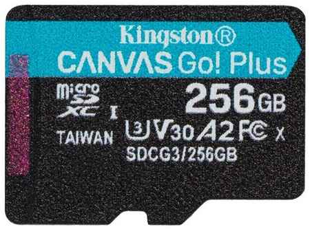 Карта памяти Kingston Canvas Go! Plus microSDXC UHS-I Cl10, SDCG3/256GBSP 19848269714461