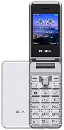 Телефон Philips Xenium E2601, 2 SIM, серебристый 19848353987318