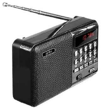 Радиоприемник PERFEO PF-A4870 - черный 19848405690089