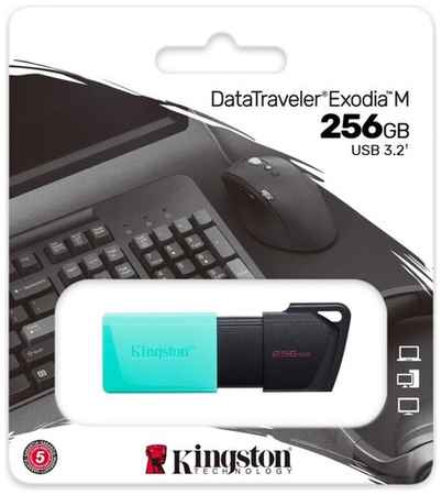 Флеш-память Kingston DataTraveler Exodia M, 256Гб, USB 3.2 gen.1 бирюзовый 19848513656231