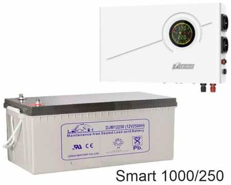 ИБП Powerman Smart 1000 INV + LEOCH DJM12250 19848531698474