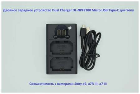 Двойное зарядное устройство NP-FZ100 Micro и USB Type-C для Sony