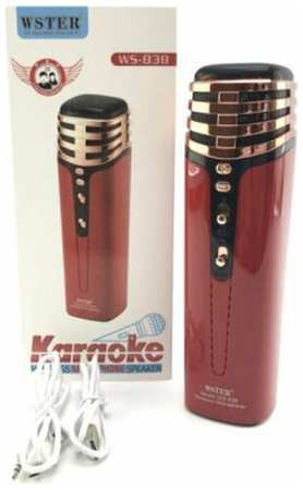 Wster Беспроводной караоке микрофон WS838 красный с динамиком 19848538285032