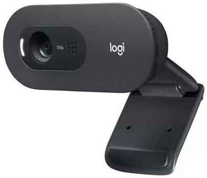 Web-камера Logitech C505e HD 19848561181842