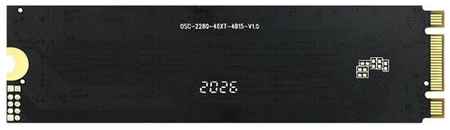 Твердотельный накопитель OSCOO 256 ГБ M.2 ON800-256GB 19848589164977