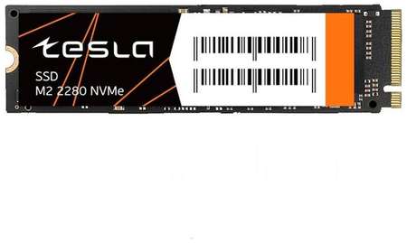 Твердотельный накопитель Tesla 256 ГБ M.2 SSDTSLA-256GM2