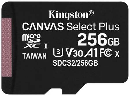 Карта памяти Kingston microSDXC 256 ГБ Class 10, V30, A1, UHS Class 1, R/W 100/85 МБ/с, 1 шт., черный 19848636065739