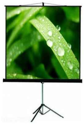 Экран ViewScreen Clamp Pro (4:3) 171*128 (165*122) MW MW TCP-4303 19848721682311