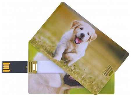 Подарочный USB-накопитель собака оригинальная флешка пластиковая карта 16GB 19848958704006